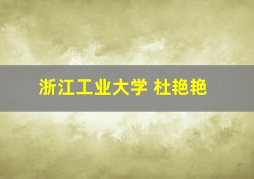 浙江工业大学 杜艳艳